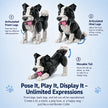 Border Collie Brick Model – Poseable Dog with Wagging Tail Building Set