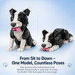 Border Collie Brick Model – Poseable Dog with Wagging Tail Building Set