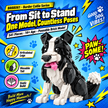 Border Collie Brick Model – Poseable Dog with Wagging Tail Building Set